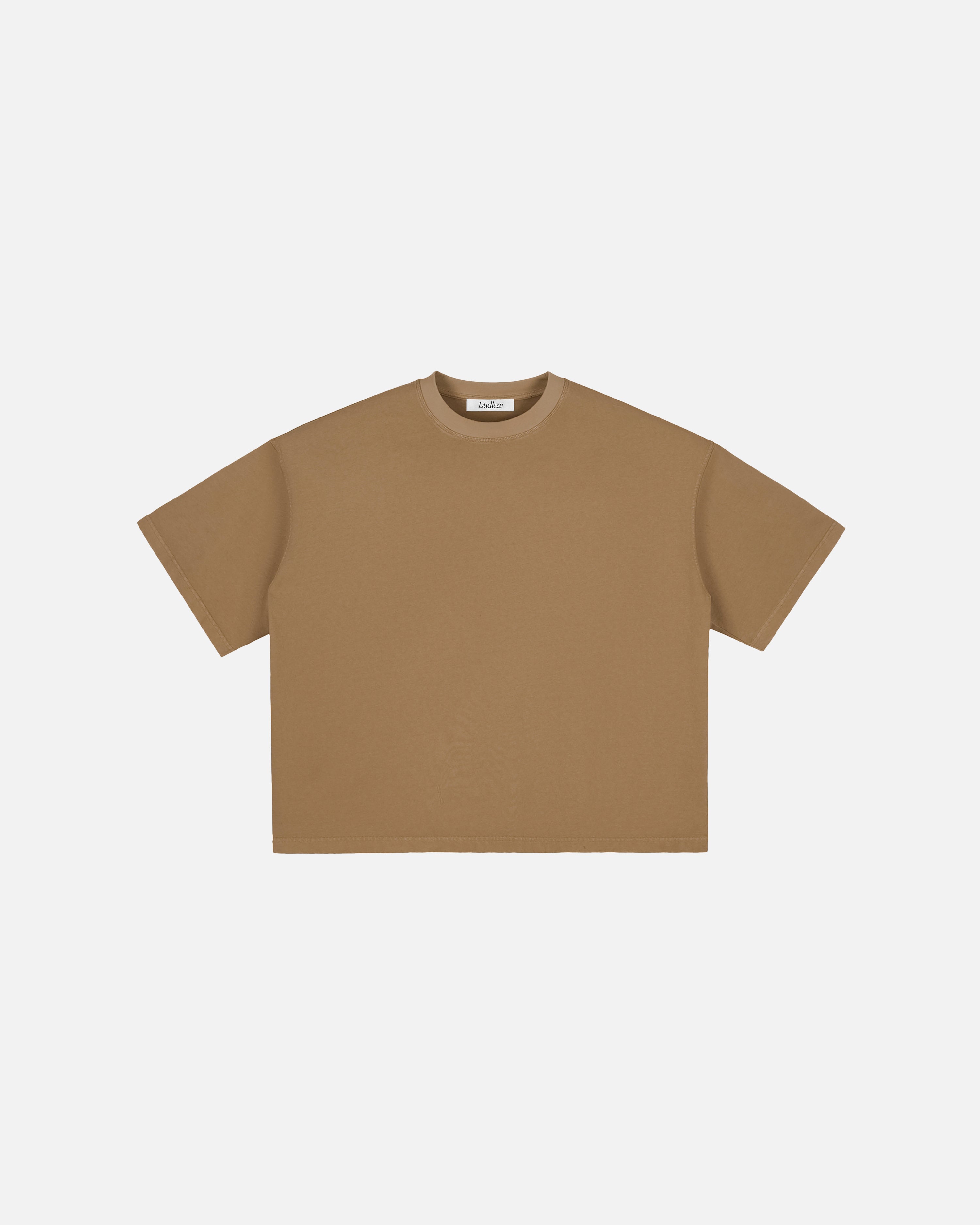 Hudson Mist Vintage Washed Boxy T-Shirt