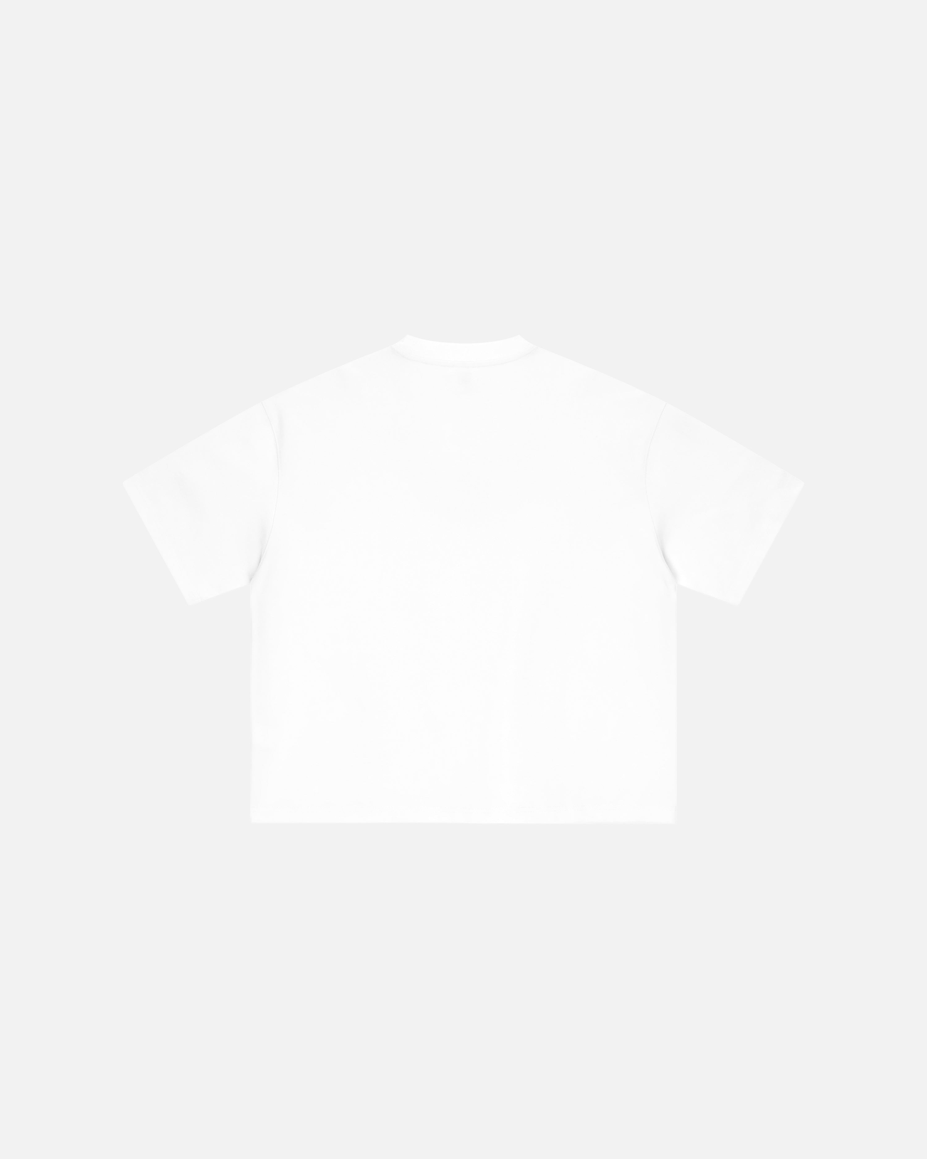 Core Bowery Boxy T-Shirt