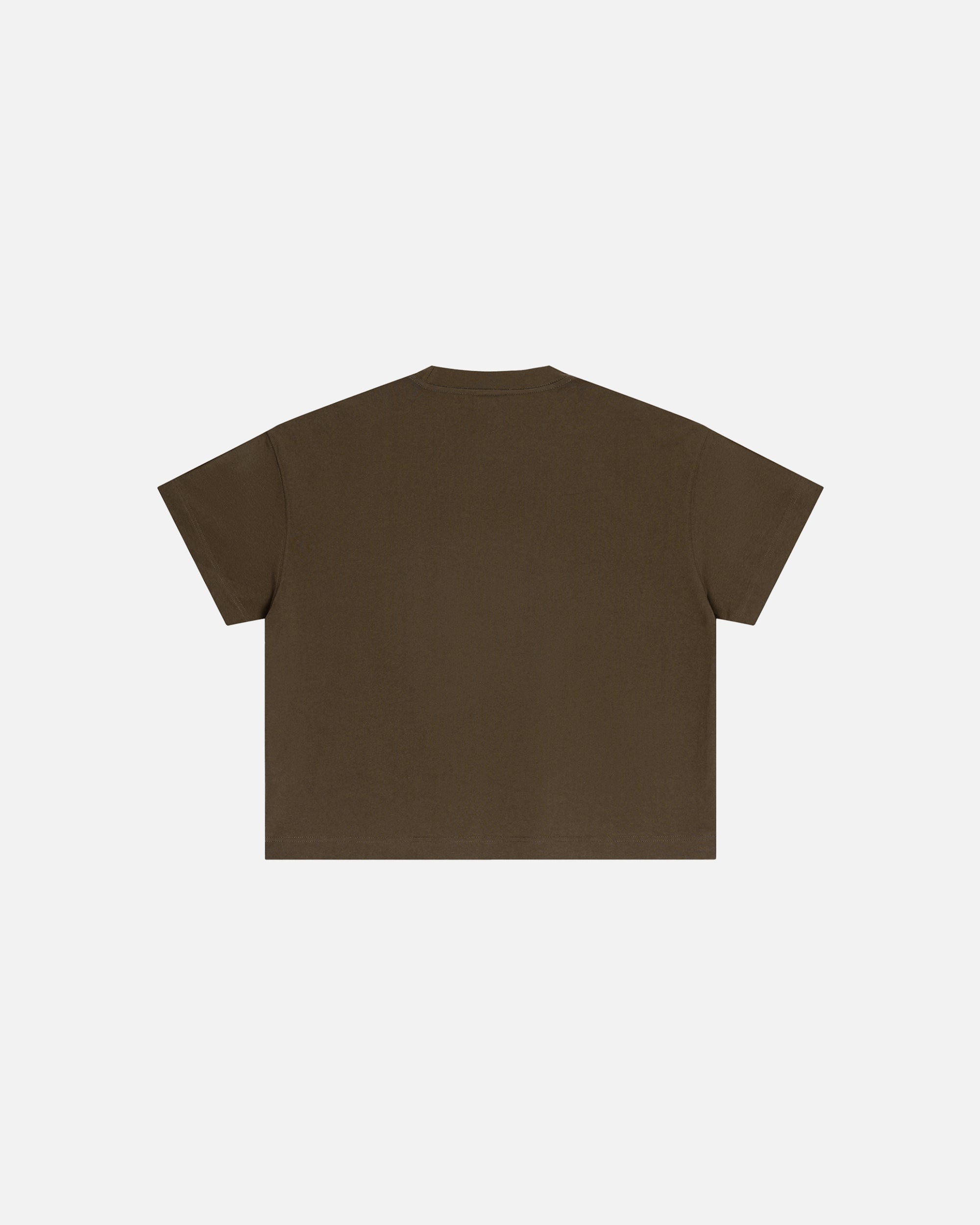 Core Midweight Essex Boxy T-Shirt