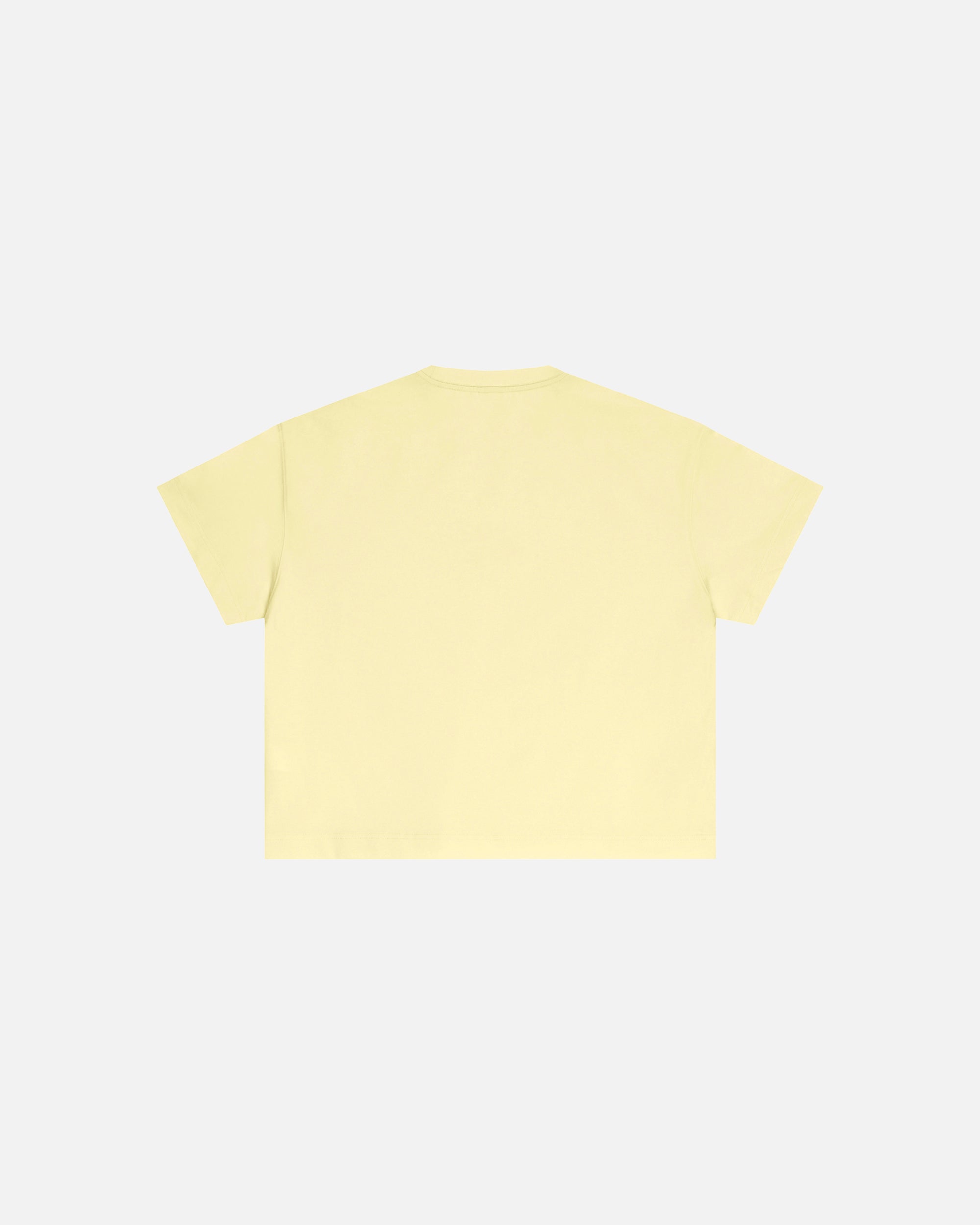 Core Midweight Essex Boxy T-Shirt