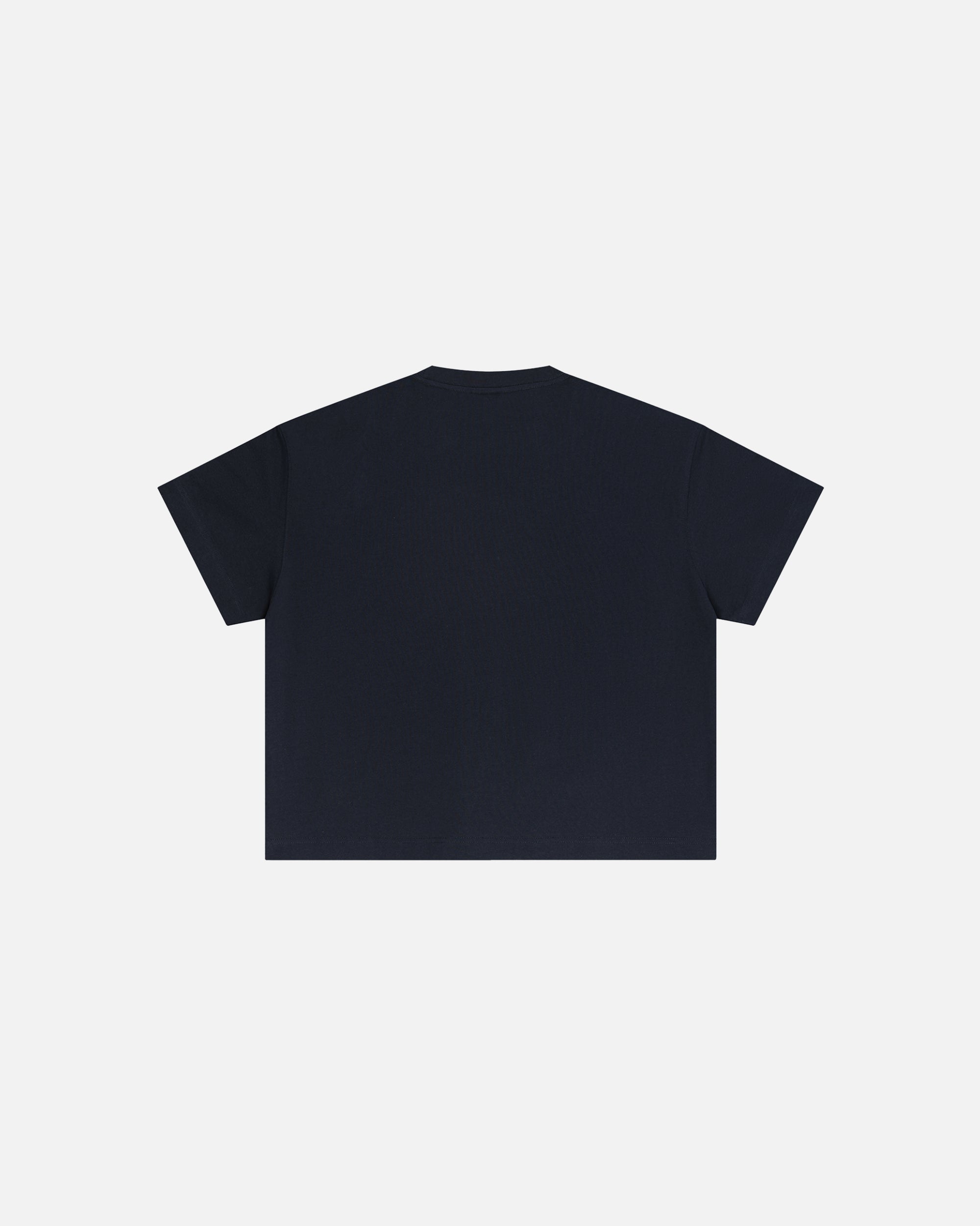 Core Midweight Essex Boxy T-Shirt