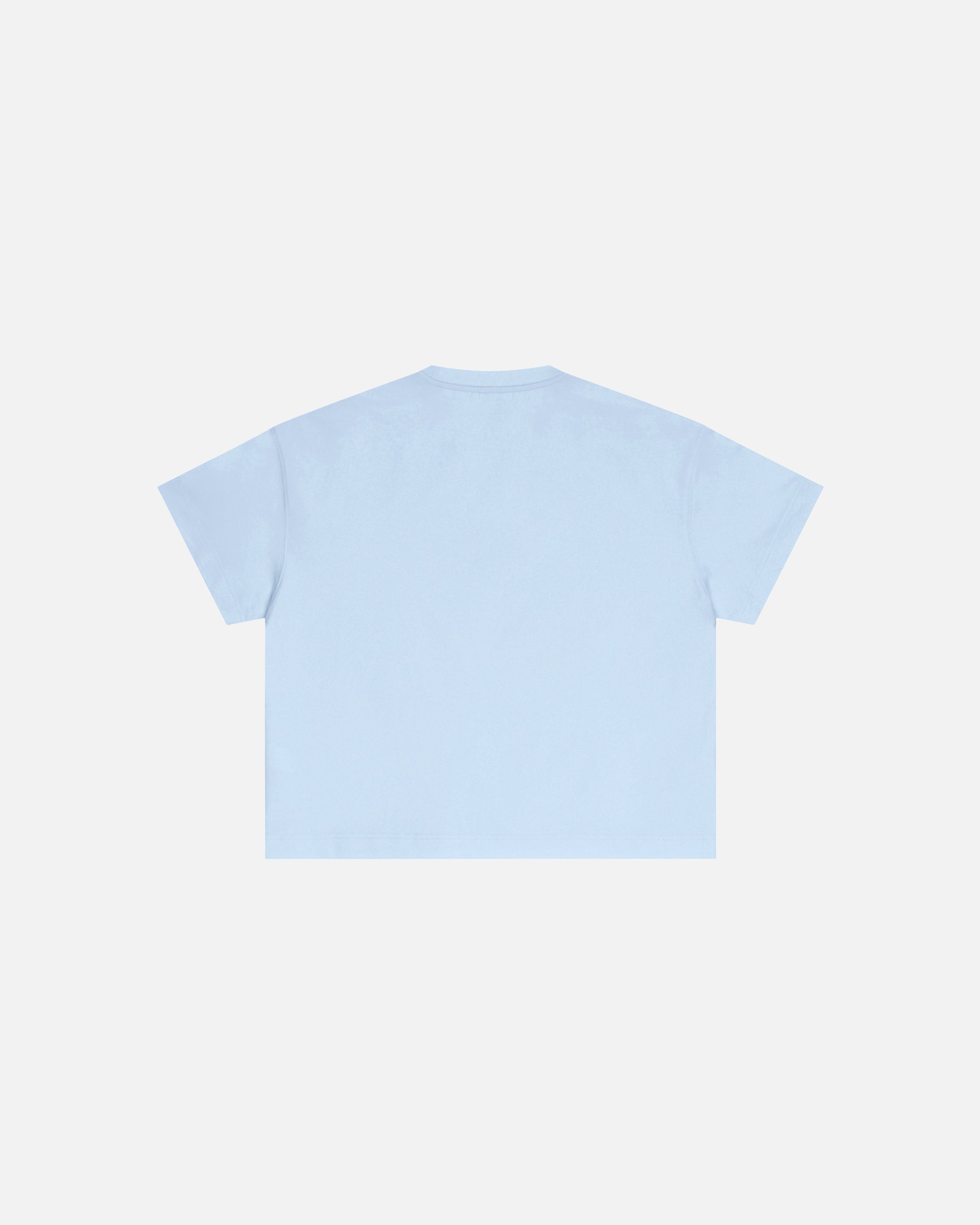 Core Midweight Essex Boxy T-Shirt