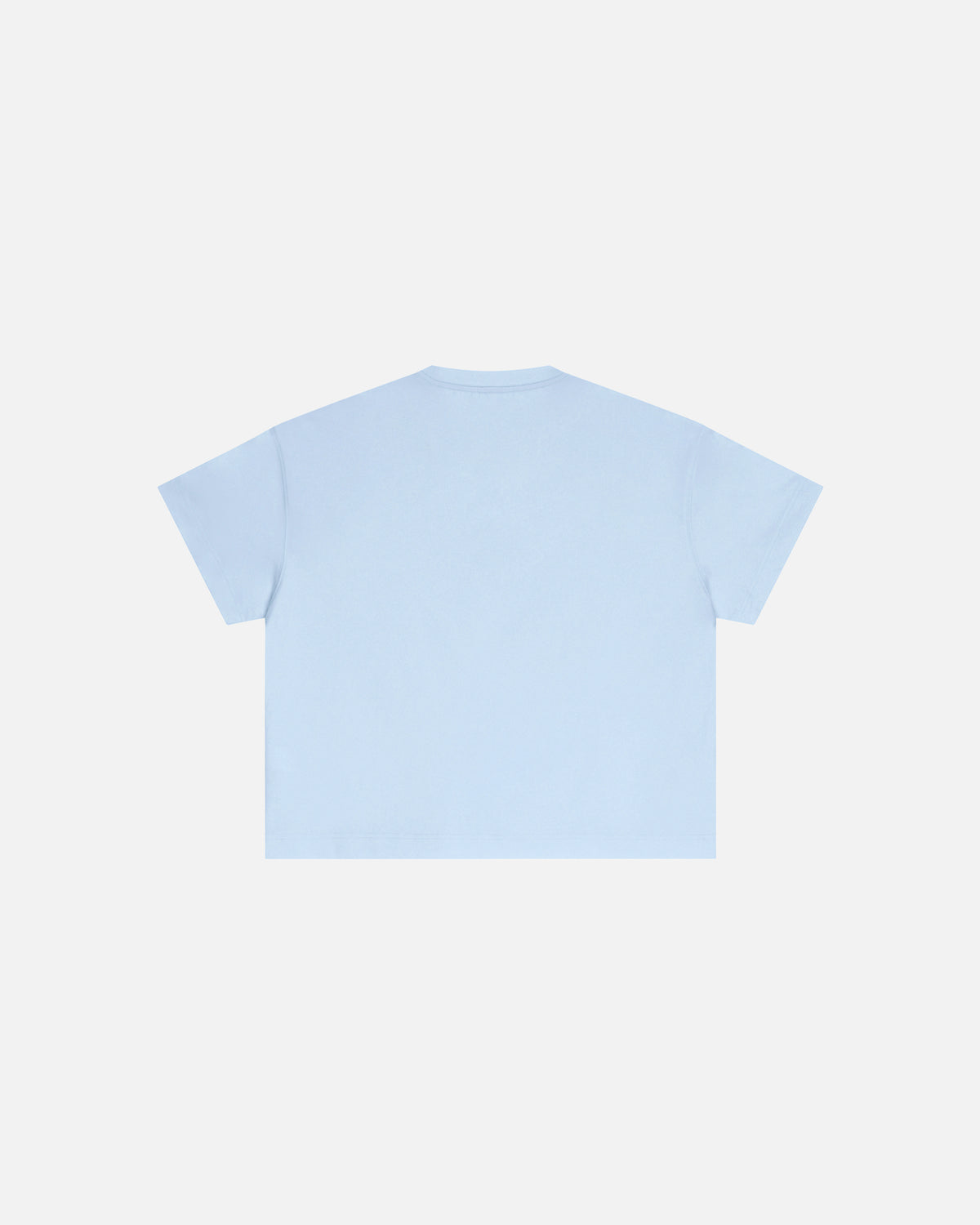 Core Midweight Essex Boxy T-Shirt