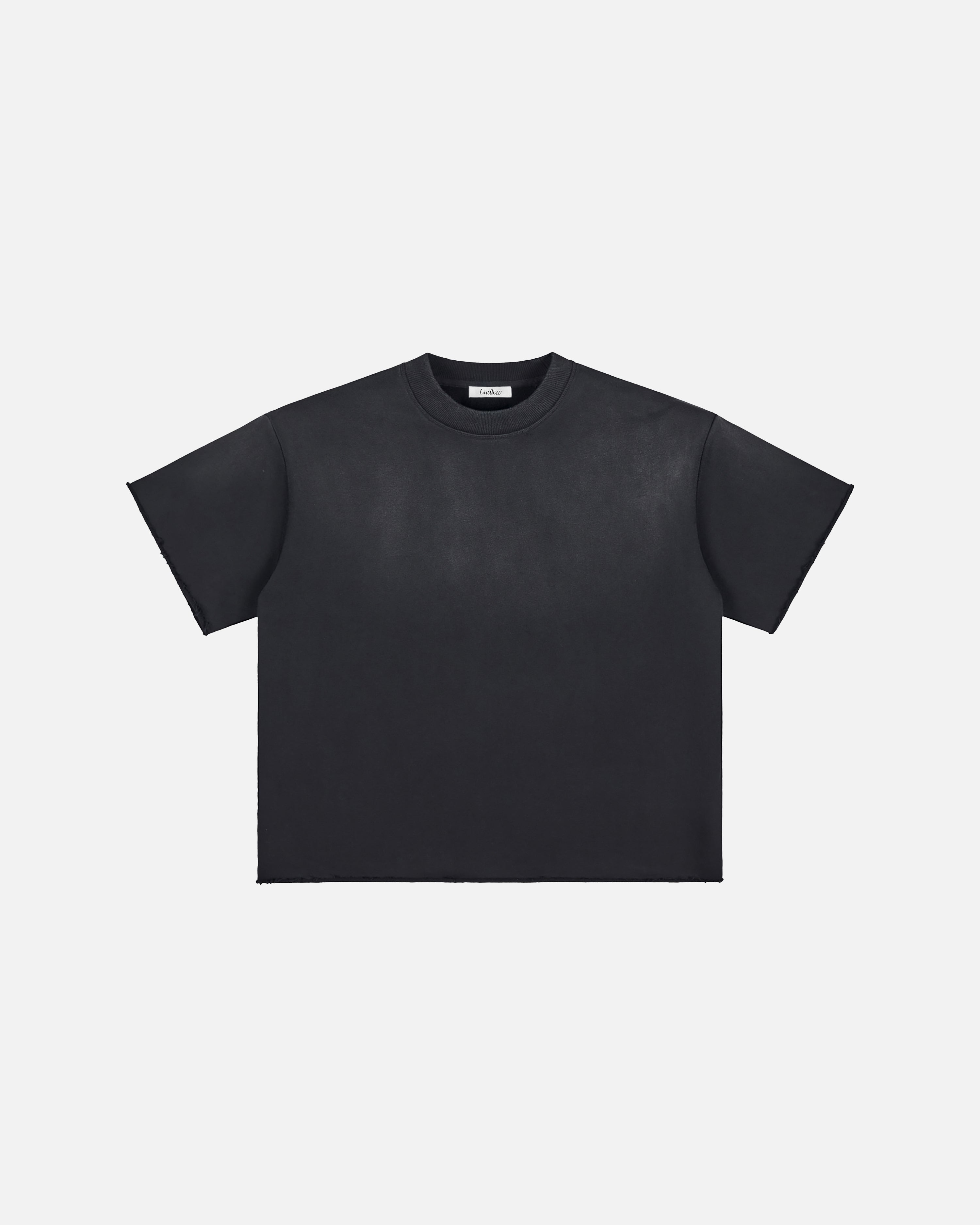 Hudson Mist Faded Raw Edge T-Shirt