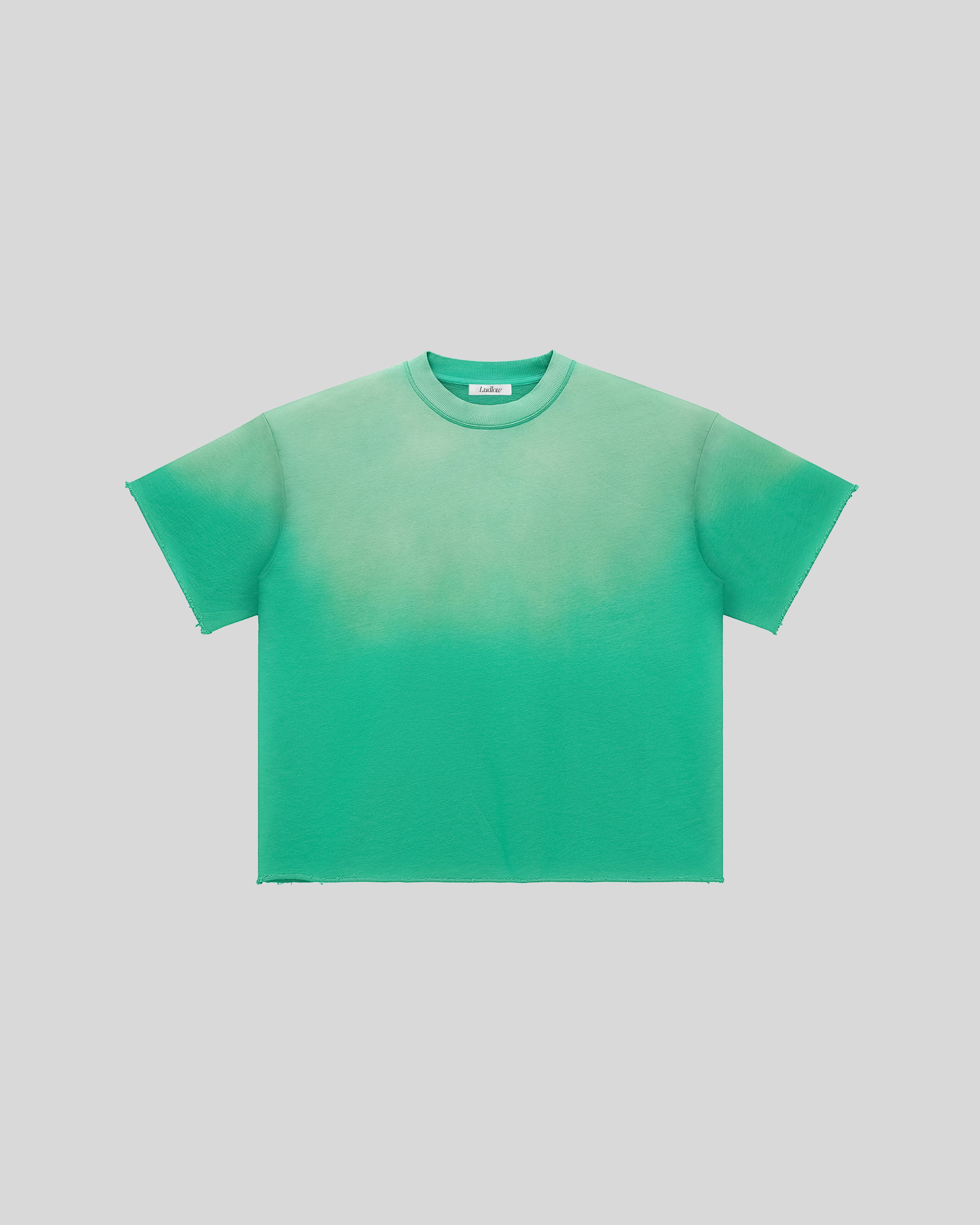 Hudson Mist Faded Raw Edge T-Shirt