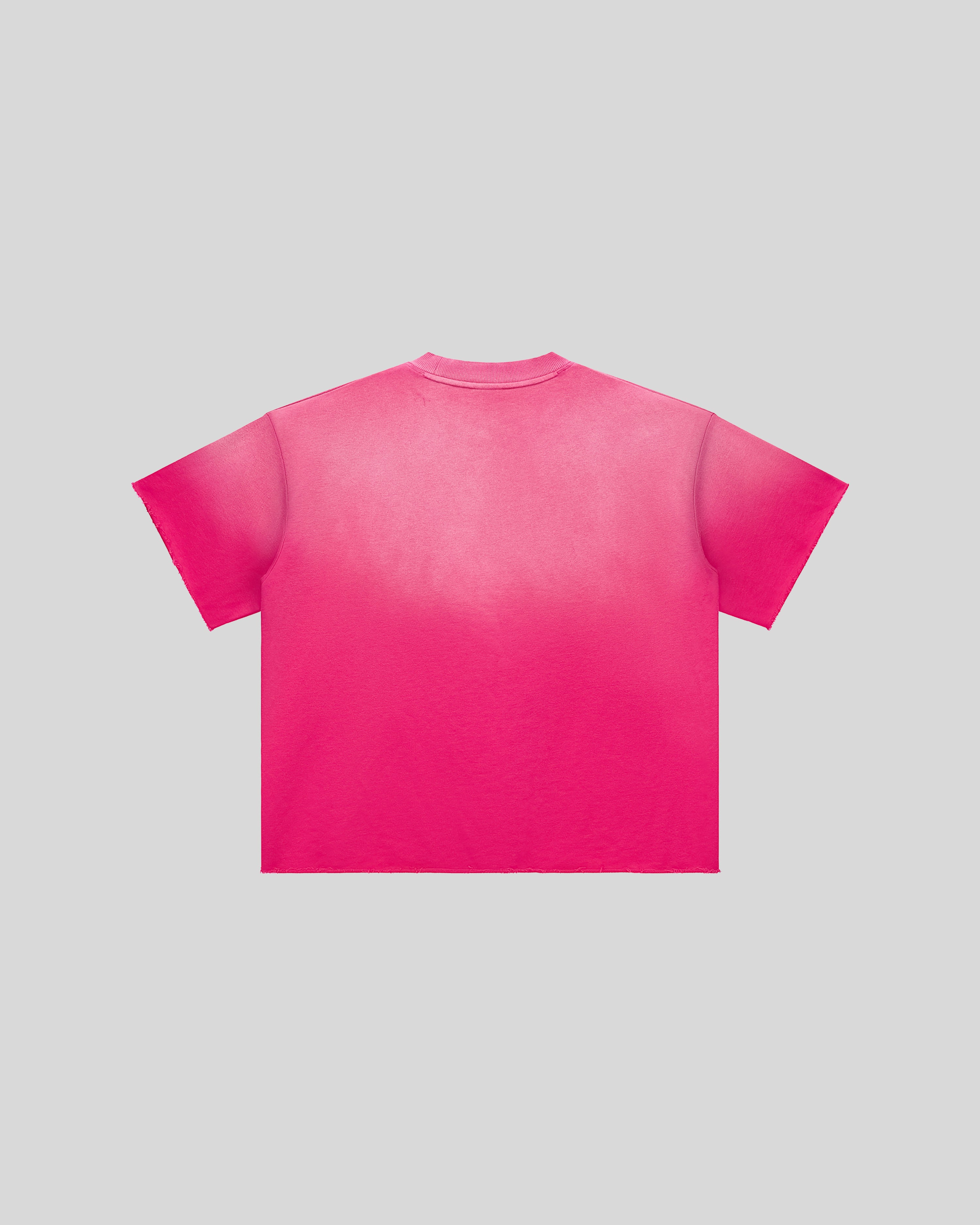 Hudson Mist Faded Raw Edge T-Shirt