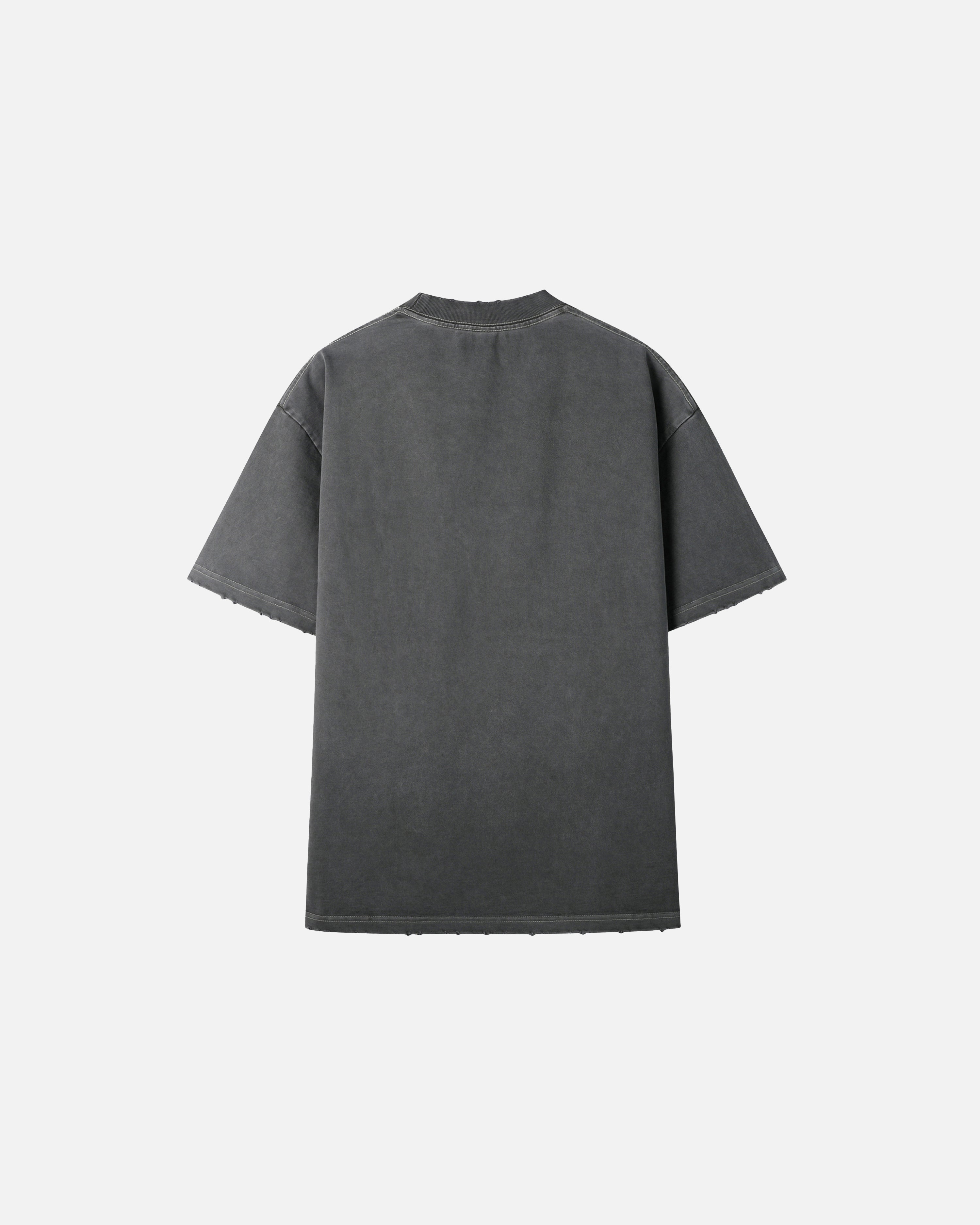 Hudson Heavyweight Vintage Frayed T-Shirt