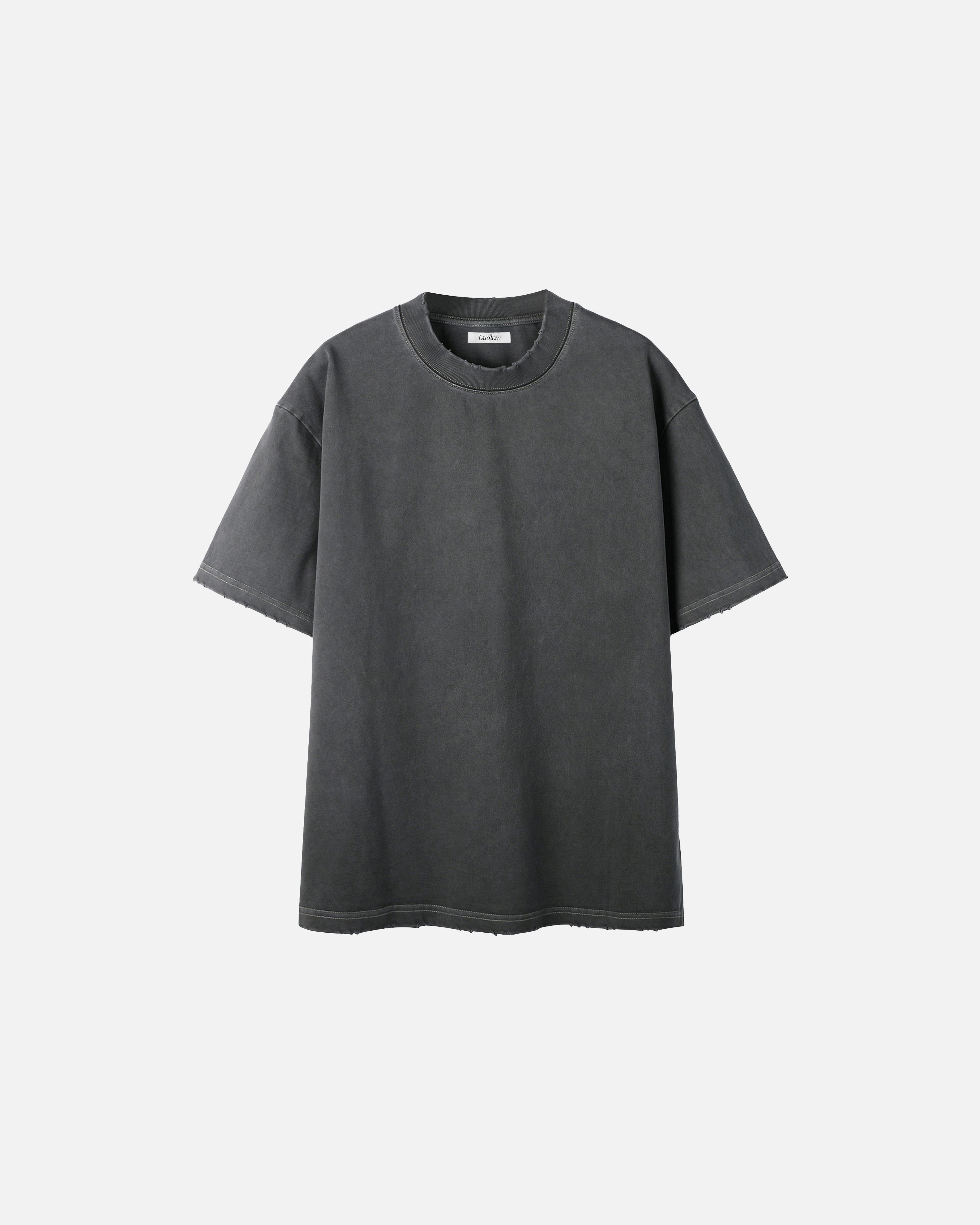 Hudson Heavyweight Vintage Frayed T-Shirt