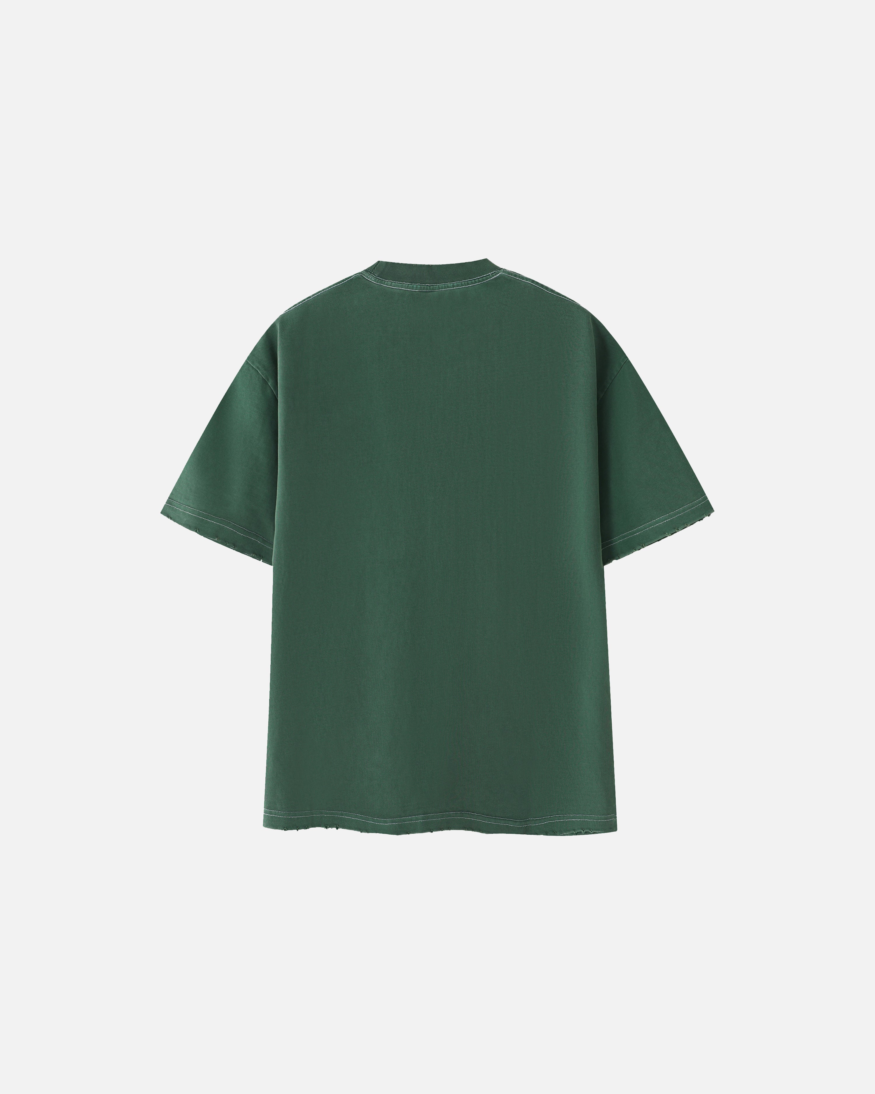 Hudson Heavyweight Vintage Frayed T-Shirt