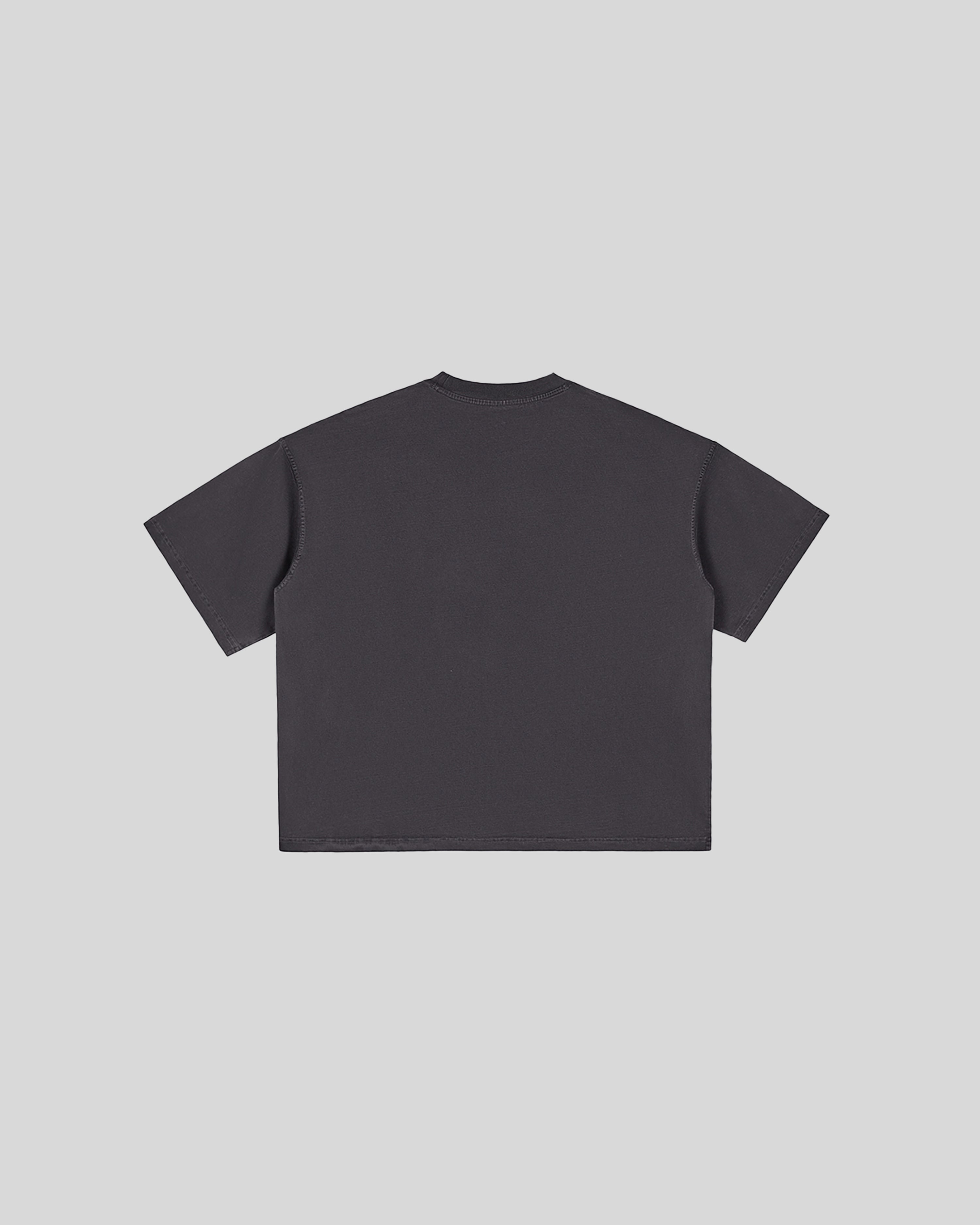 Hudson Mist Vintage Washed Boxy T-Shirt