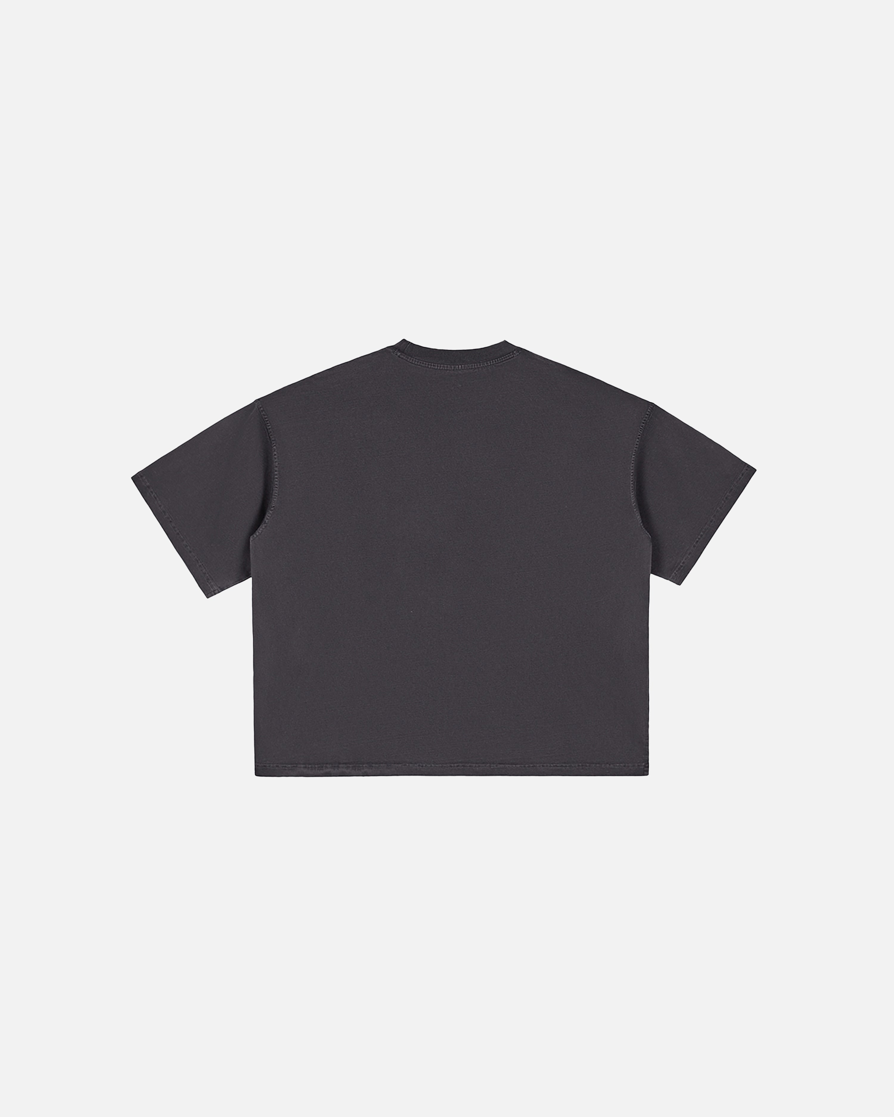 Hudson Mist Vintage Washed Boxy T-Shirt