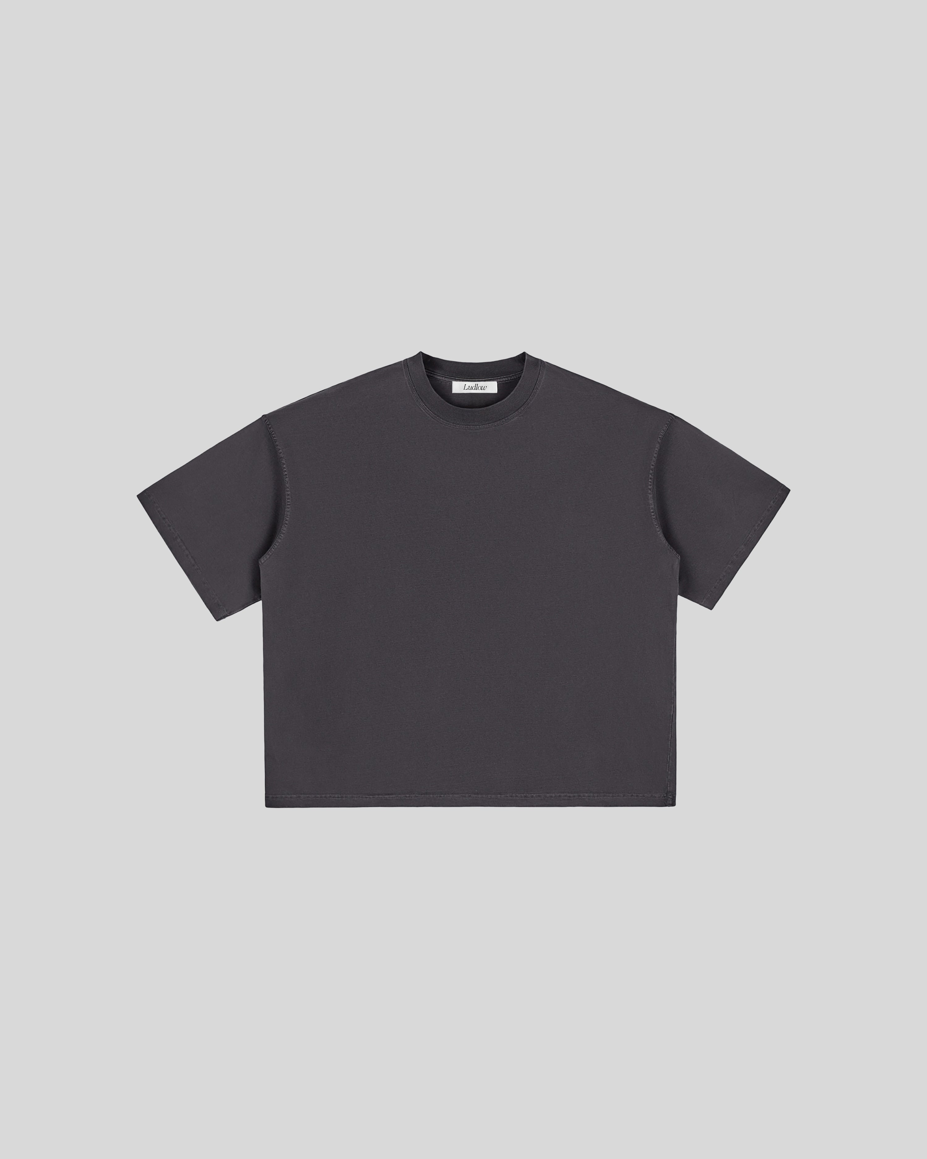 Hudson Mist Vintage Washed Boxy T-Shirt