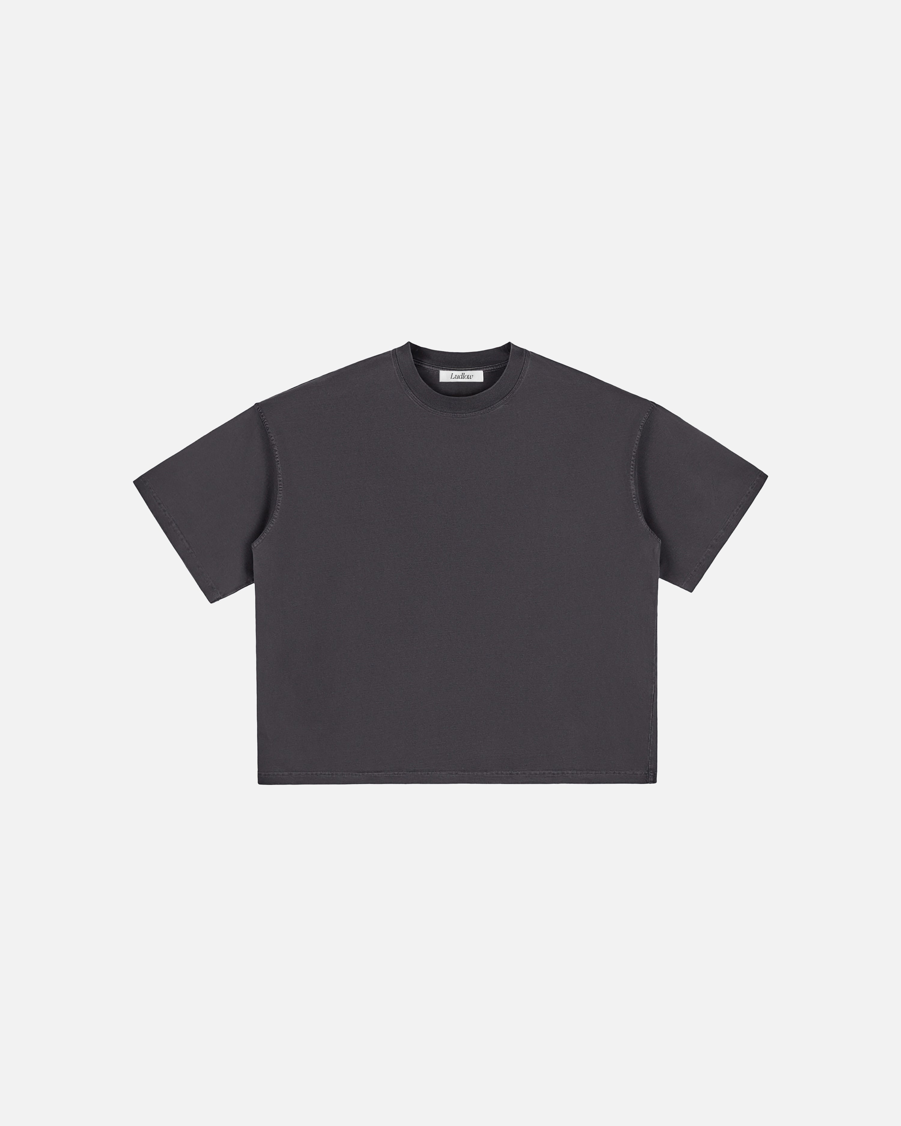 Hudson Mist Vintage Washed Boxy T-Shirt