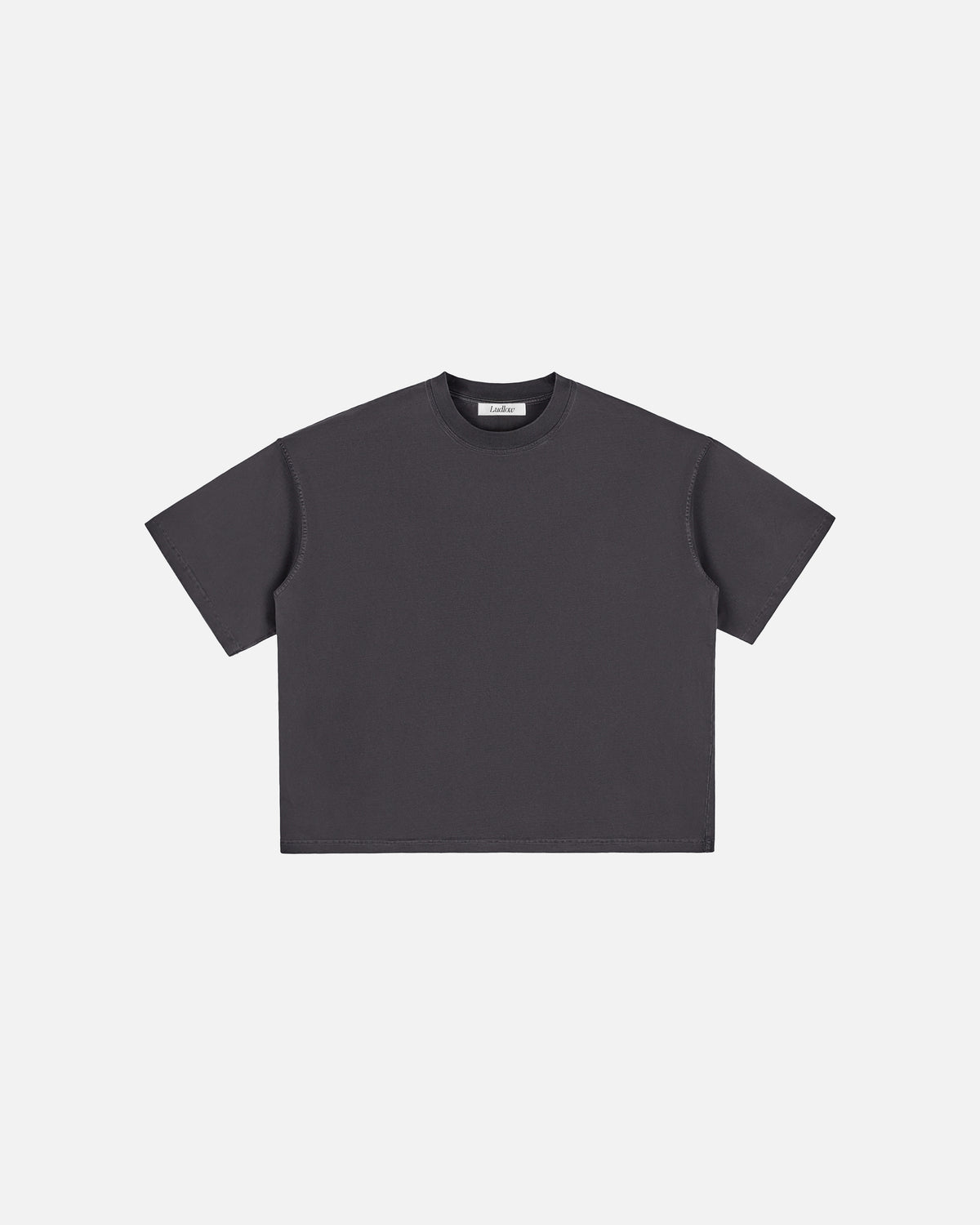 Hudson Mist Vintage Washed Boxy T-Shirt