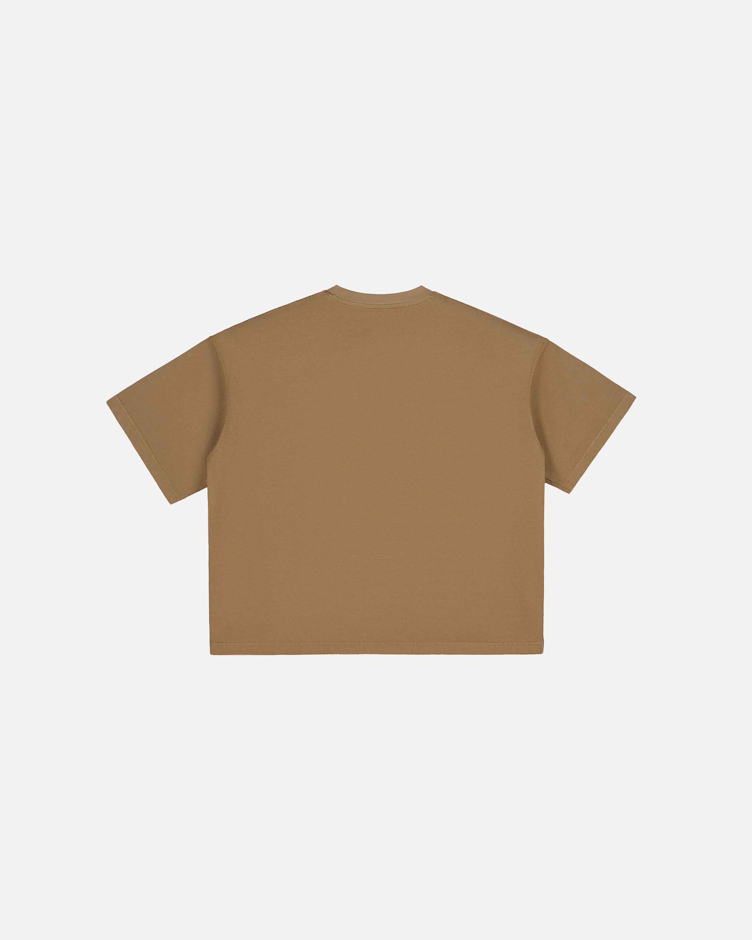 Hudson Mist Vintage Washed Boxy T-Shirt