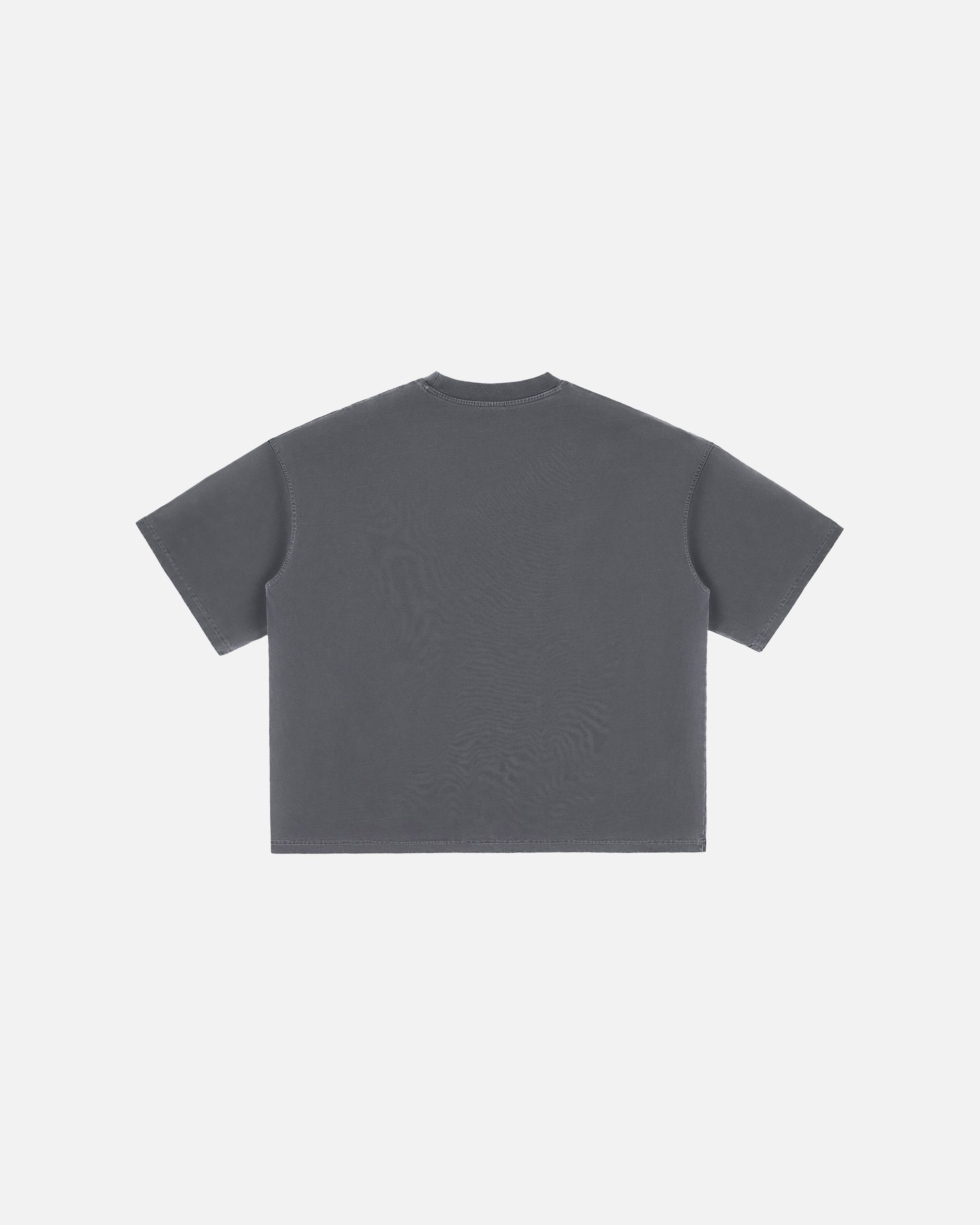 Hudson Mist Vintage Washed Boxy T-Shirt