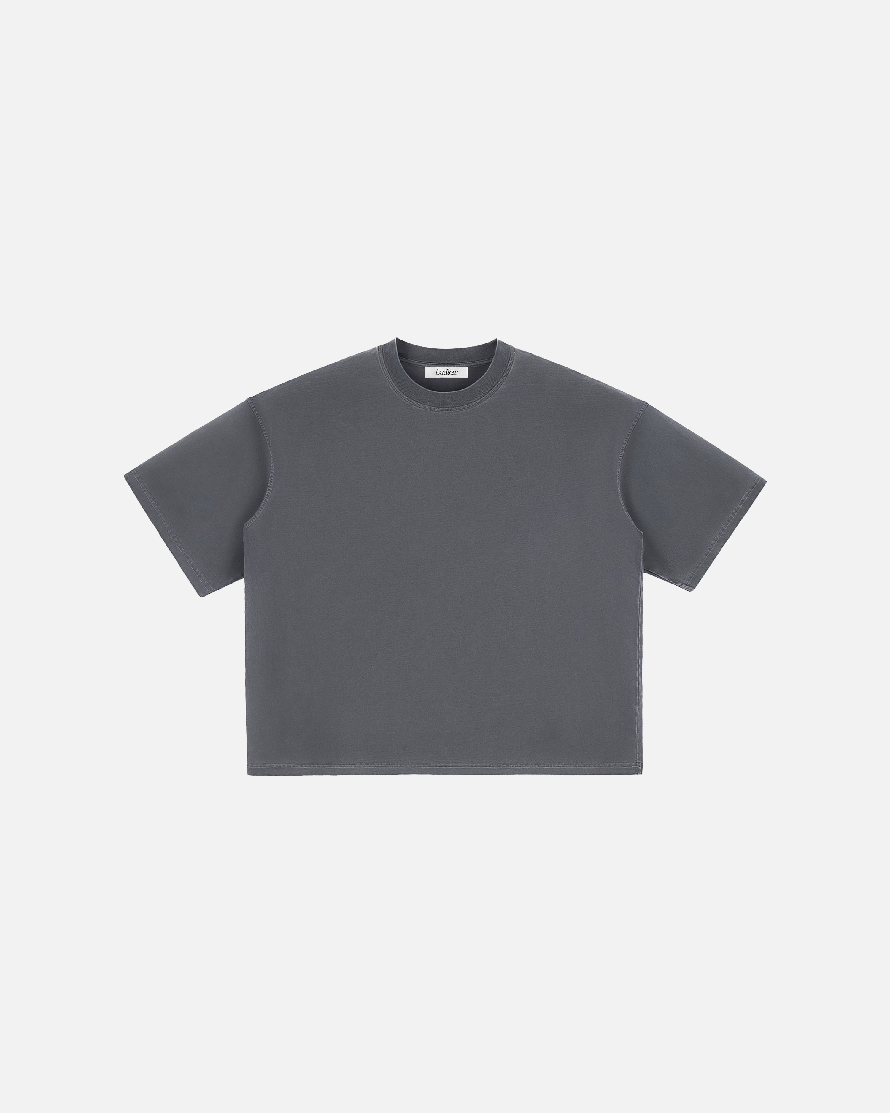 Hudson Mist Vintage Washed Boxy T-Shirt