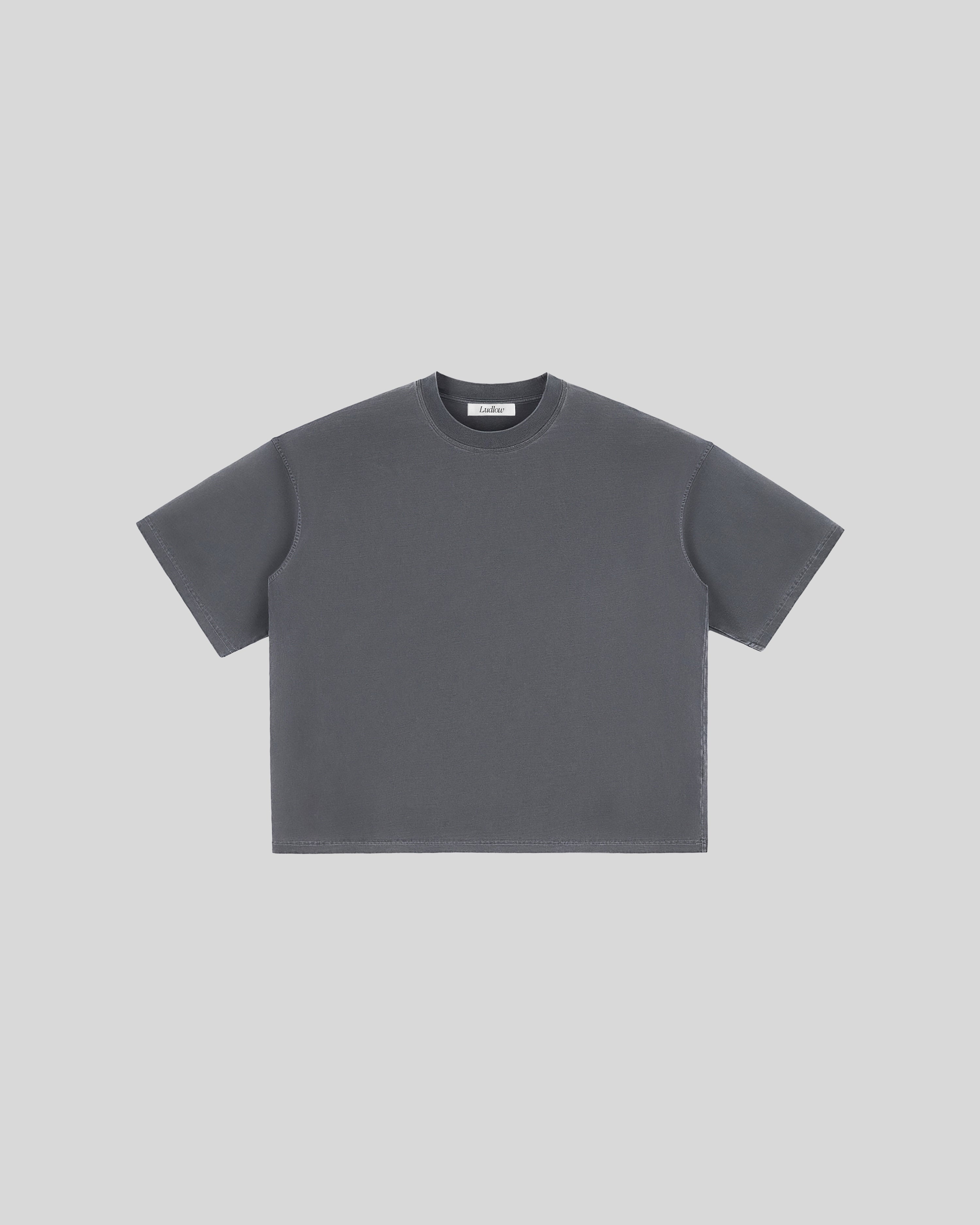 Hudson Mist Vintage Washed Boxy T-Shirt