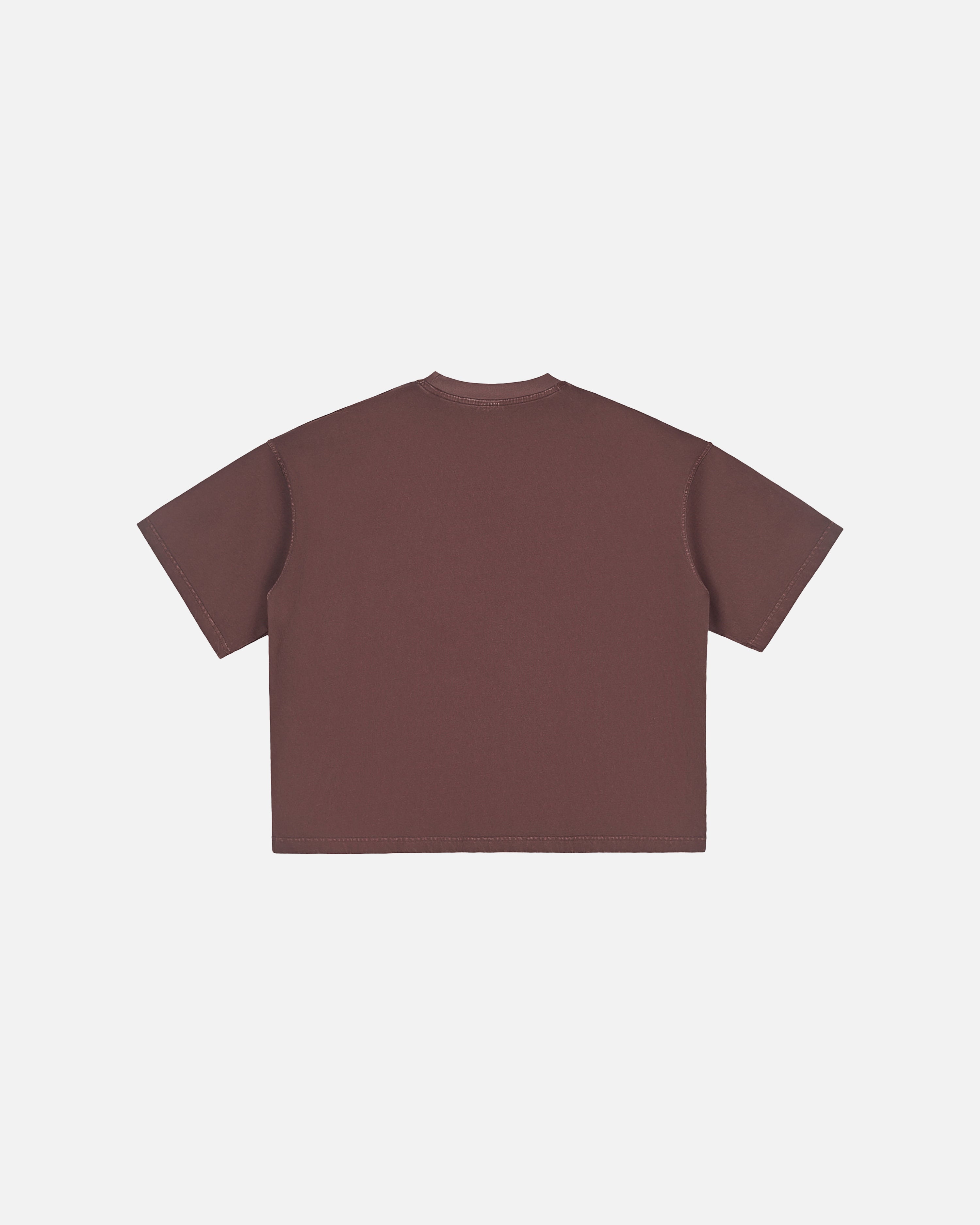 Hudson Mist Vintage Washed Boxy T-Shirt
