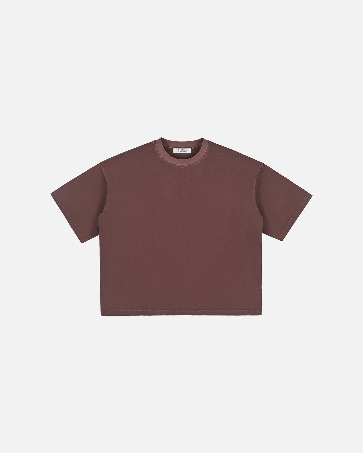 Hudson Mist Vintage Washed Boxy T-Shirt