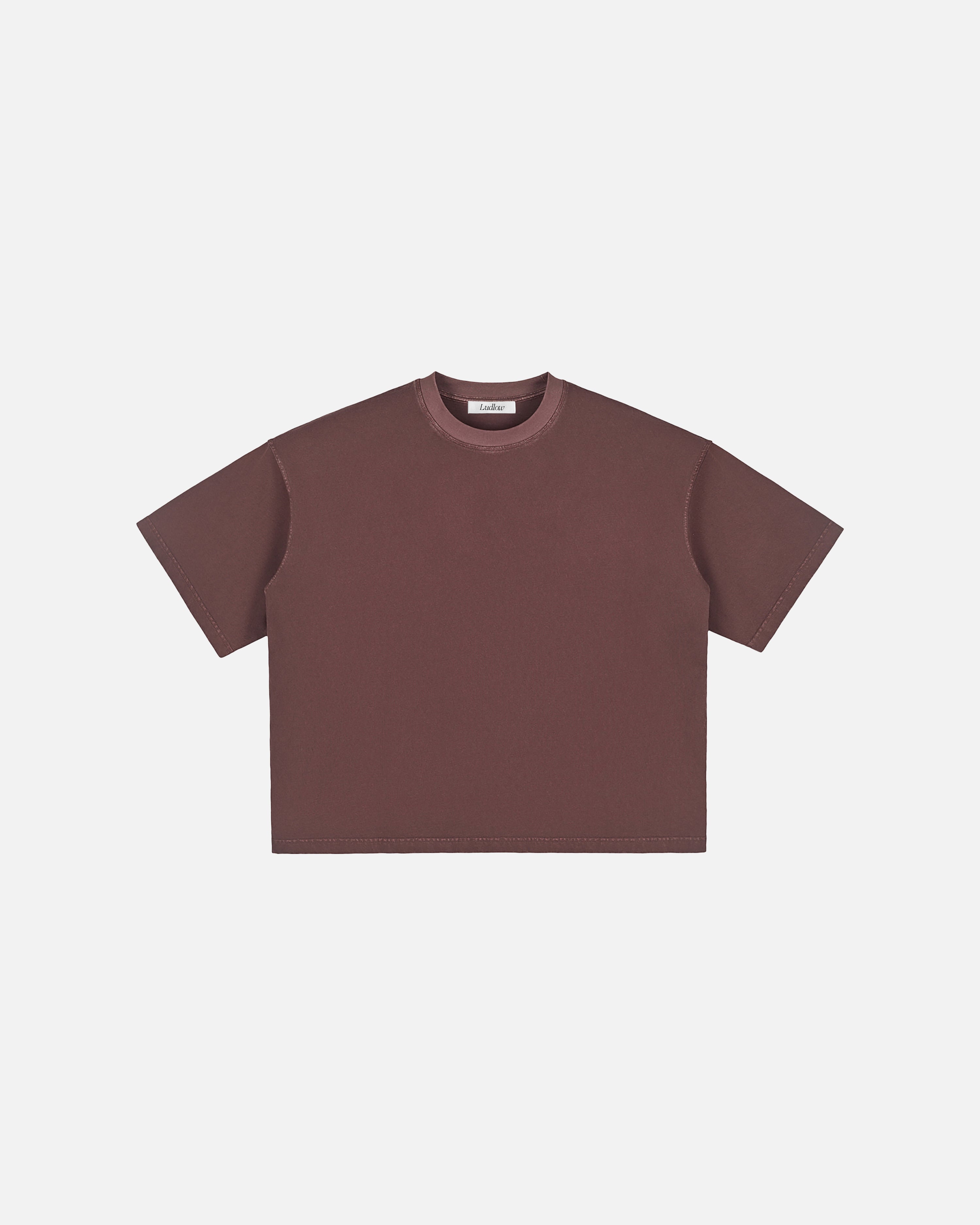 Hudson Mist Vintage Washed Boxy T-Shirt