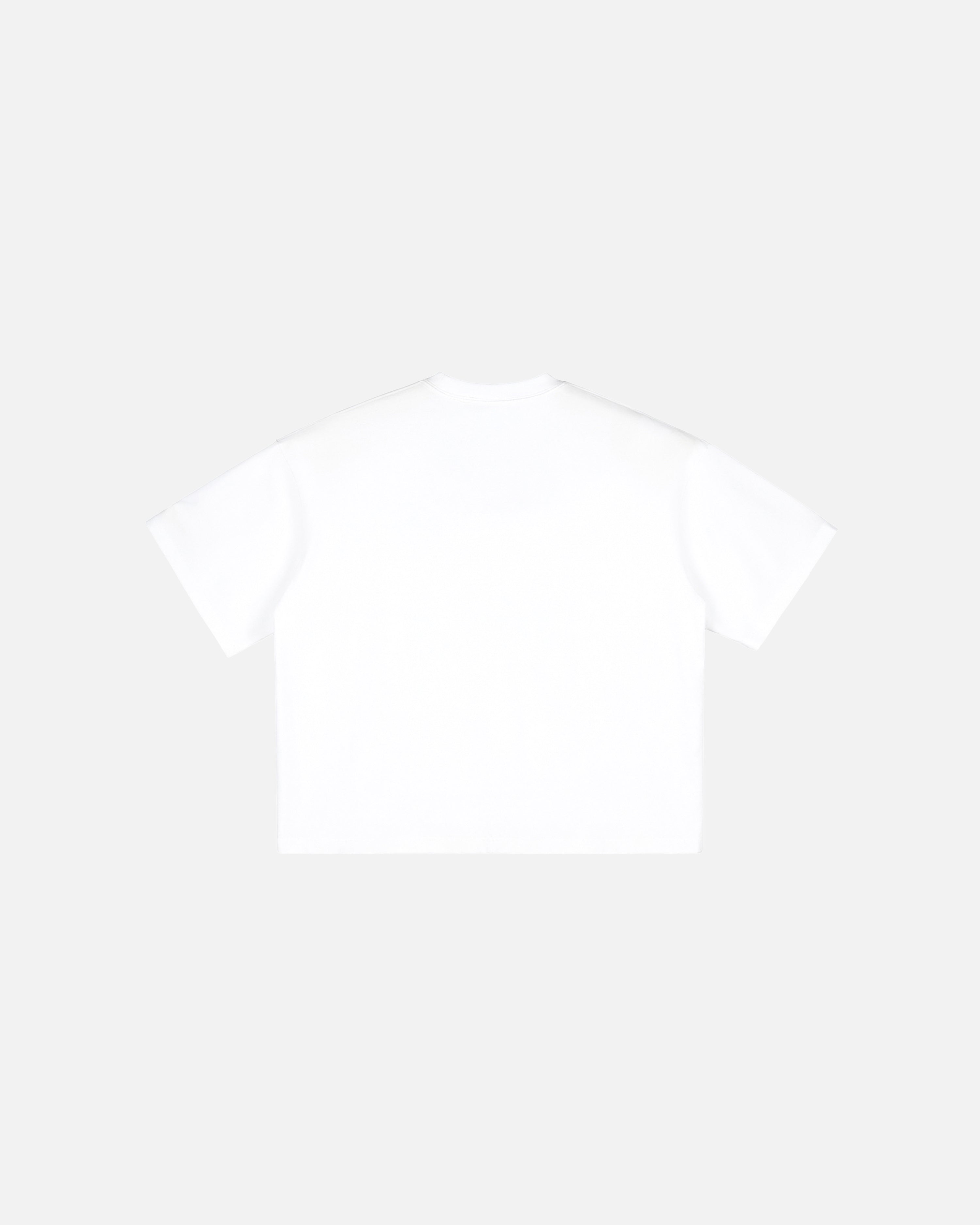 Hudson Mist Vintage Washed Boxy T-Shirt