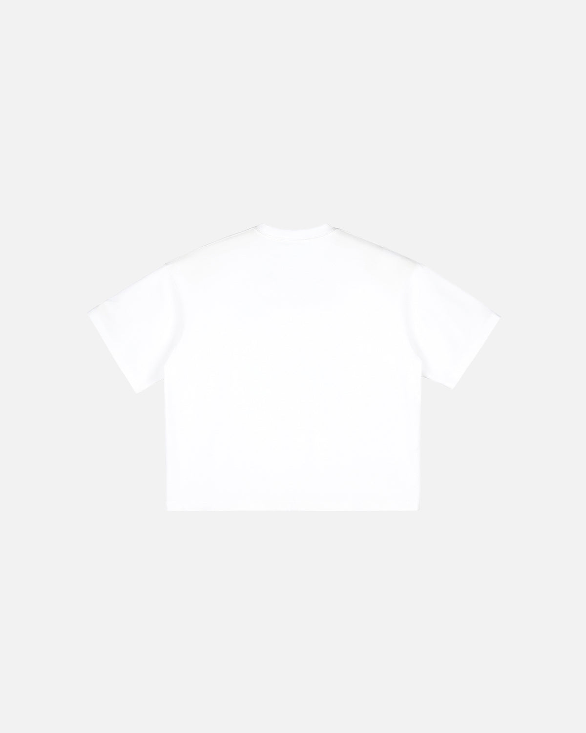 Hudson Mist Vintage Washed Boxy T-Shirt