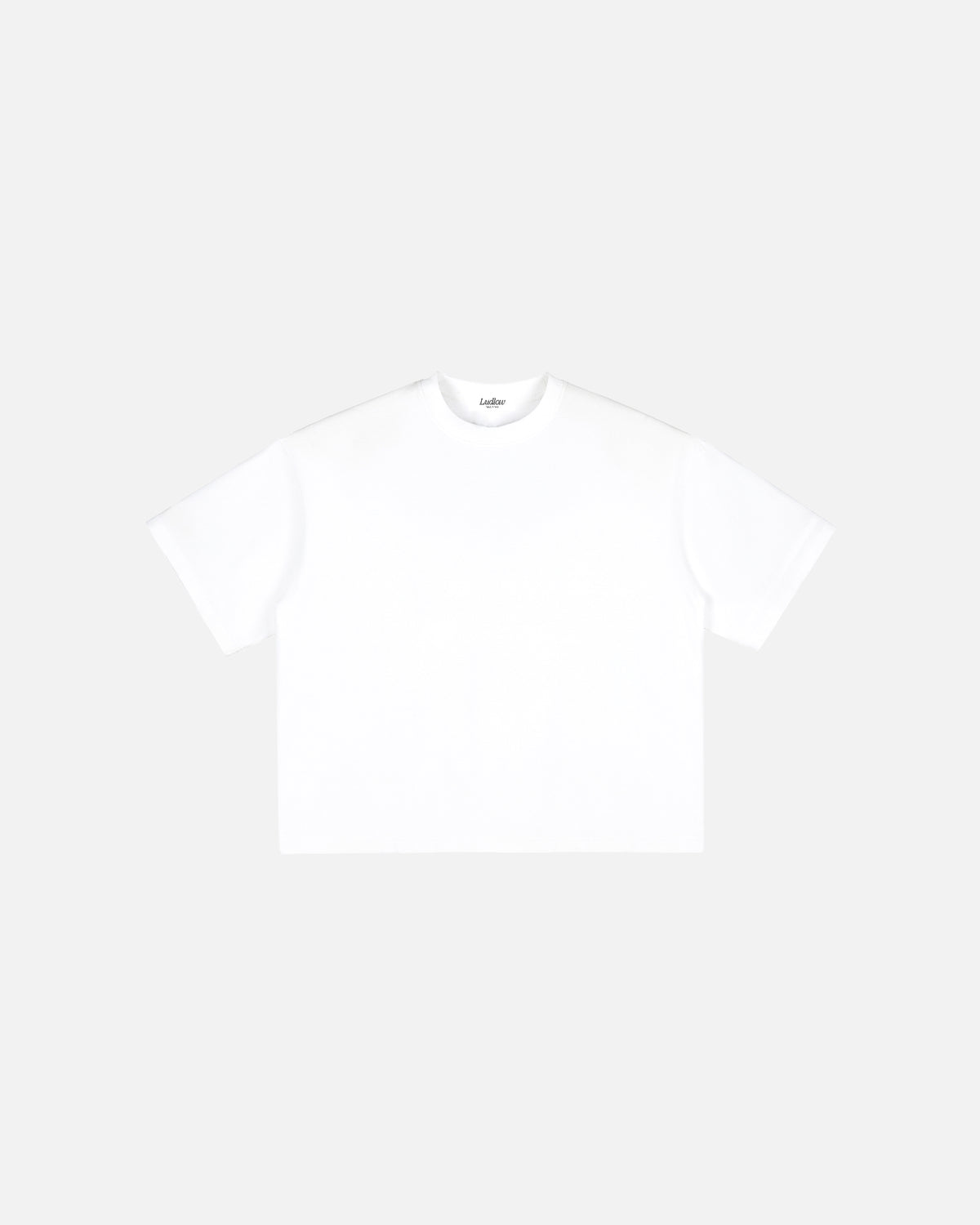 Hudson Mist Vintage Washed Boxy T-Shirt