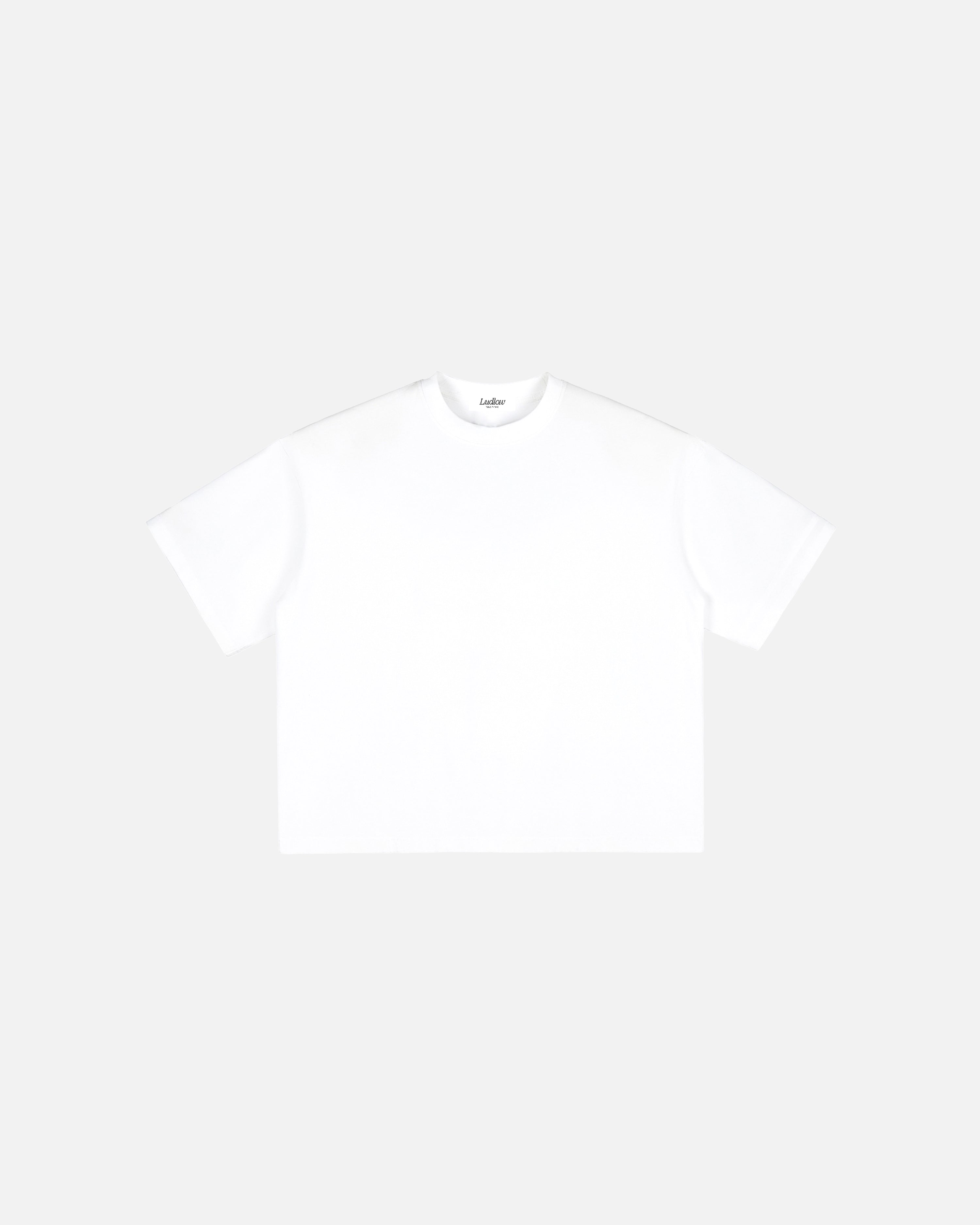 Hudson Mist Vintage Washed Boxy T-Shirt